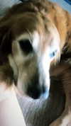 analuvillarreal Altpins Profile Picture