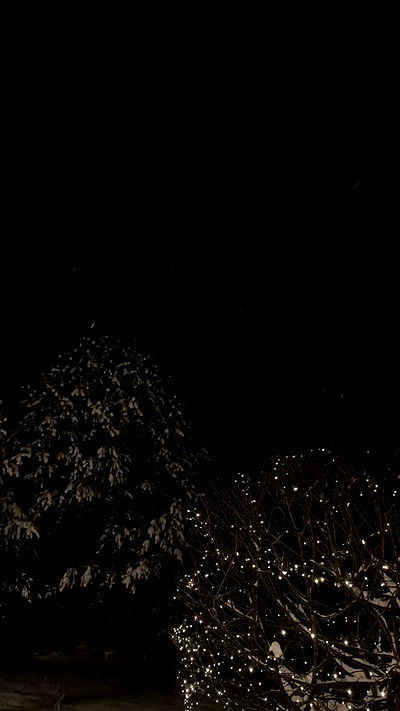 nyityam nyityam archive video