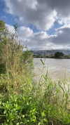 mishel_d_ Altpins Profile Picture