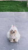 yuli.barell Altpins Profile Picture