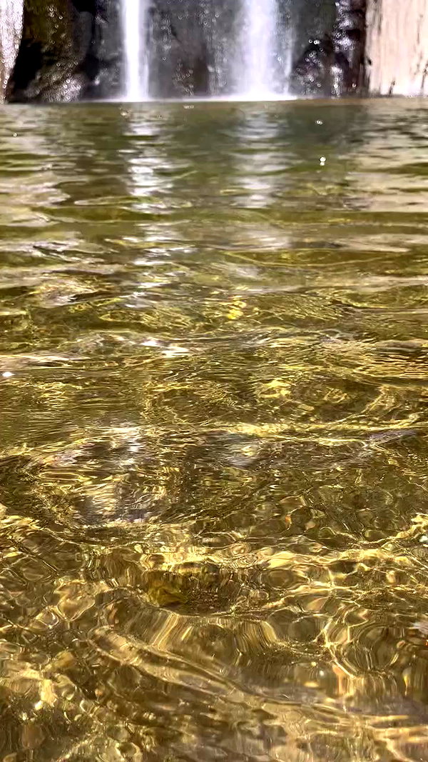 d3ad.doll archive video preview