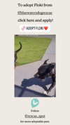 gabbyepstein Altpins Profile Picture