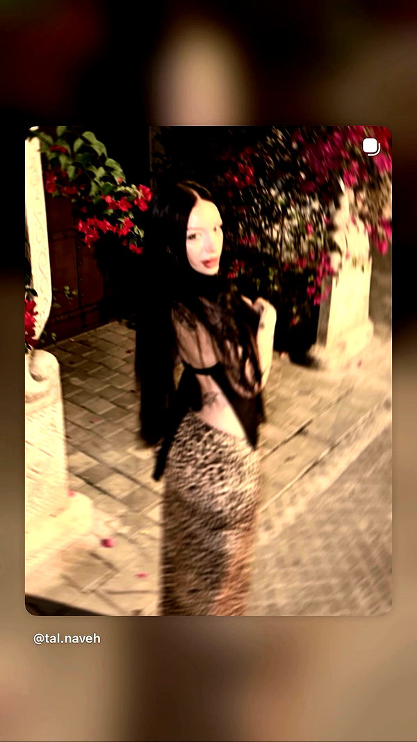 tal.naveh archive video preview