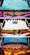 avrillavigne Altpins Profile Picture