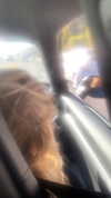 elizabethcampbelljones Altpins Profile Picture