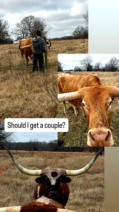 smillsap02 smillsap02 archive video