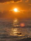 rouxroux.tv Altpins Profile Picture