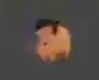 catl0verr69 Altpins Profile Picture