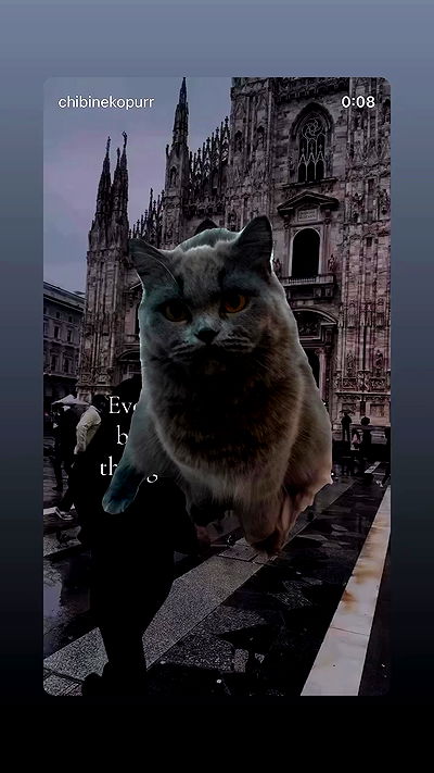 chibinekopurr chibinekopurr archive video