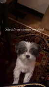 ashleybenson Altpins Profile Picture