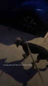 777pb_ Altpins Profile Picture