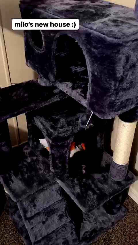 elliemvvnn archive video preview