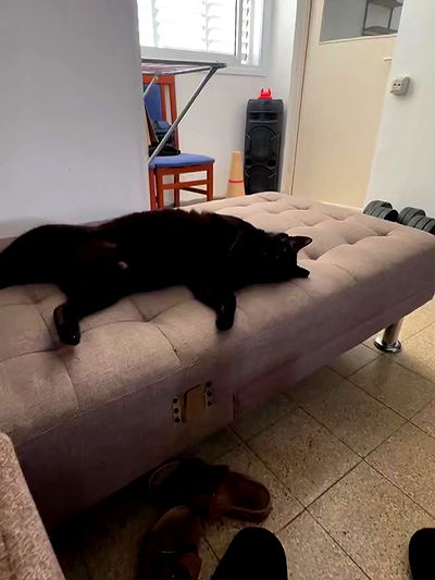 mishel116 mishel116 archive video