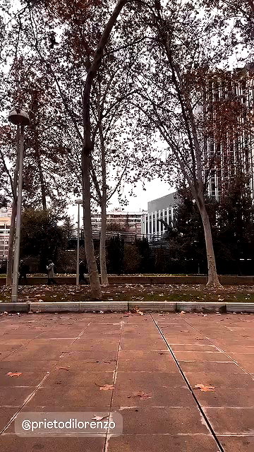 ruth_chavarri archive video preview