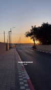 mishel_d_ Altpins Profile Picture