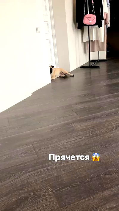 nyityam nyityam archive video