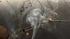 vvelum_ Altpins Profile Picture