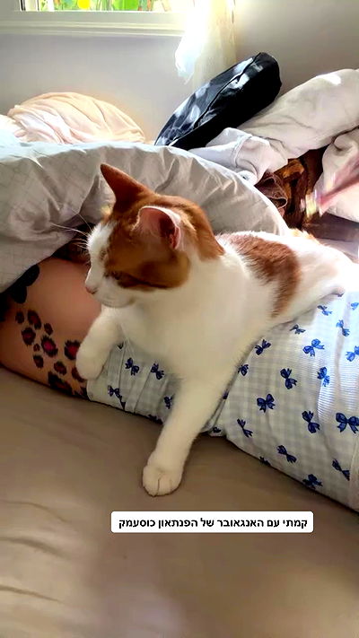 strawberryshanz strawberryshanz archive video