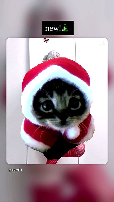 purrrik purrrik archive video