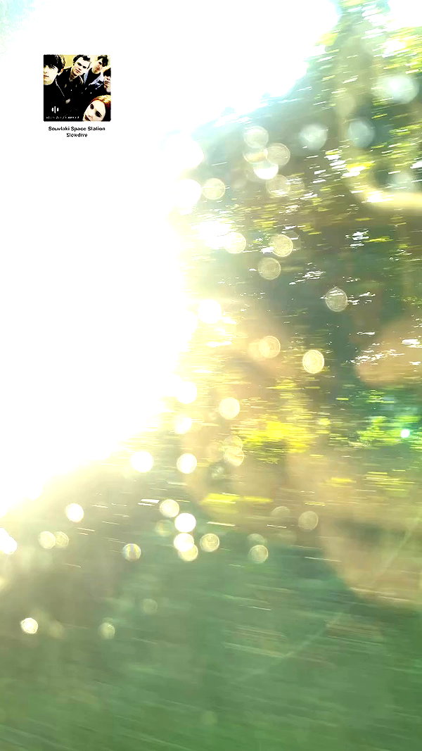 lyra.car archive video preview