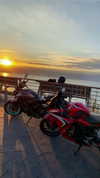 shanidahan7 Altpins Profile Picture