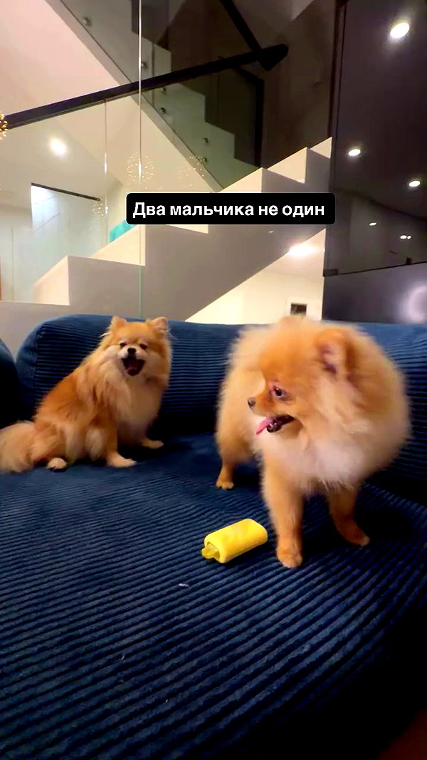 milanyatko archive video preview