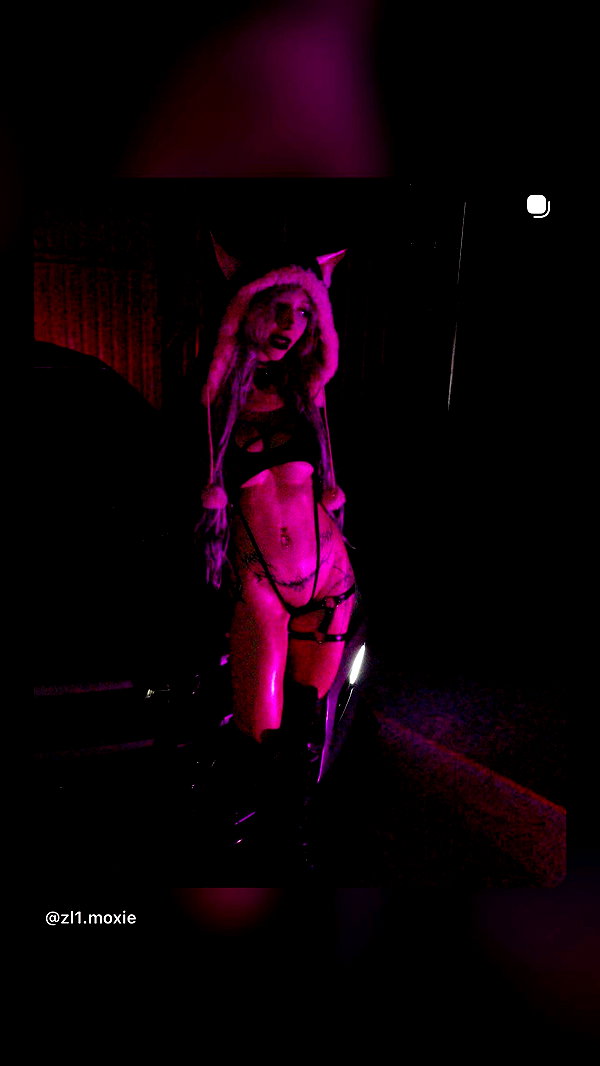 pixelpuppi archive video preview