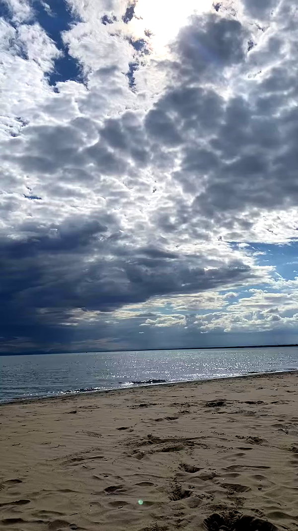 martinagiiuliani archive video preview
