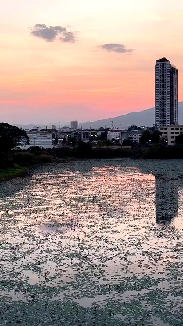 darkstar_mia archive video preview