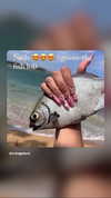 xsurio Altpins Profile Picture