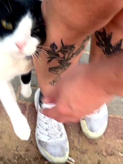 mishel116 mishel116 archive video