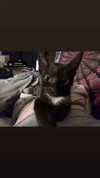 ayliehayward Altpins Profile Picture