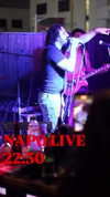 napopo_pub Altpins Profile Picture