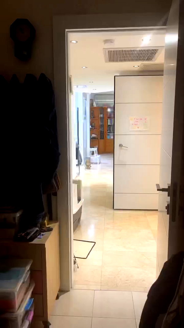notchicore archive video preview