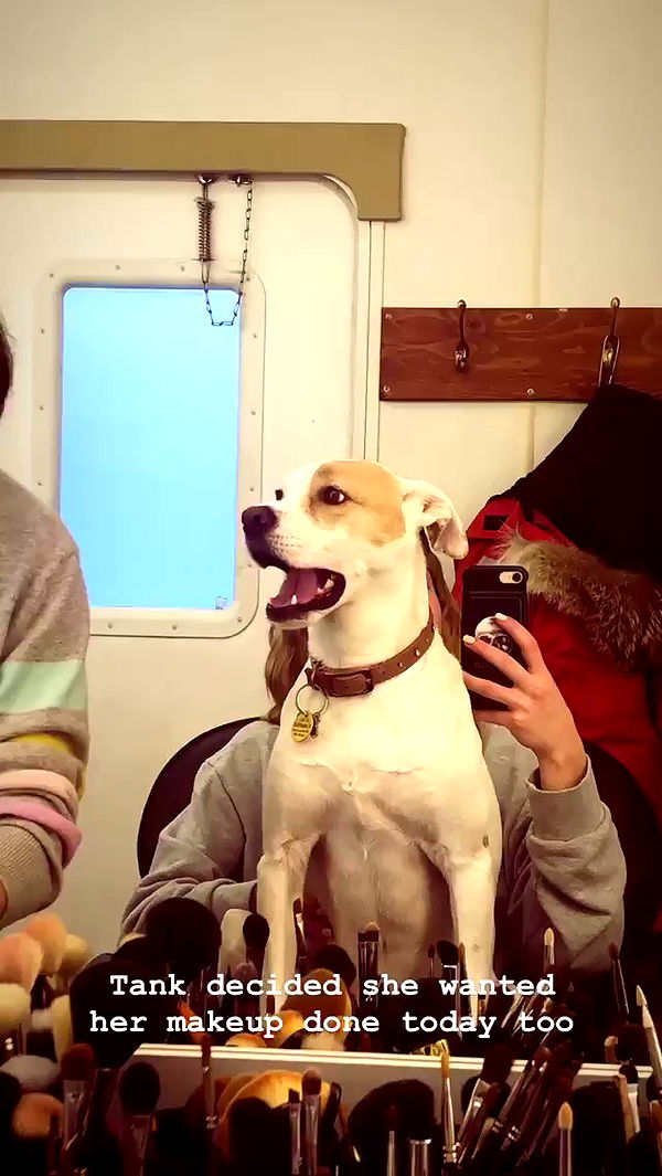 sydney_sweeney archive video preview