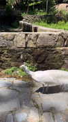 _broock_ Altpins Profile Picture
