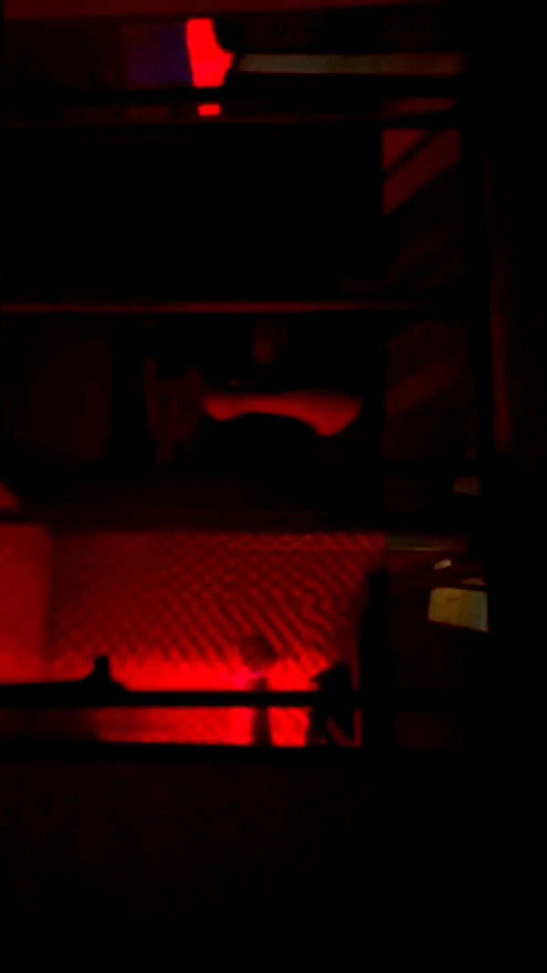 gissell_eli archive video preview