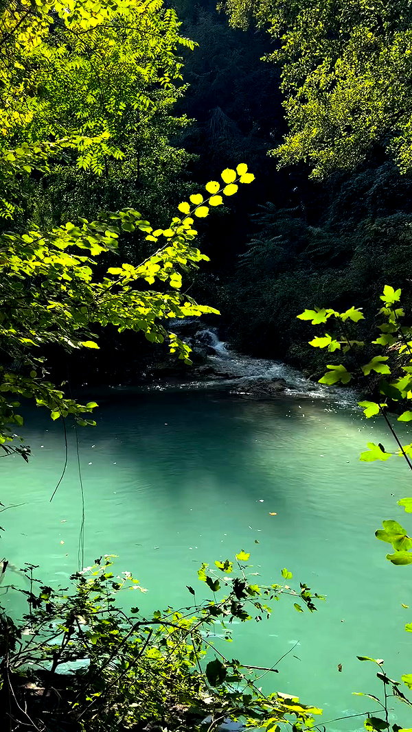 _.shelichka._ archive video preview