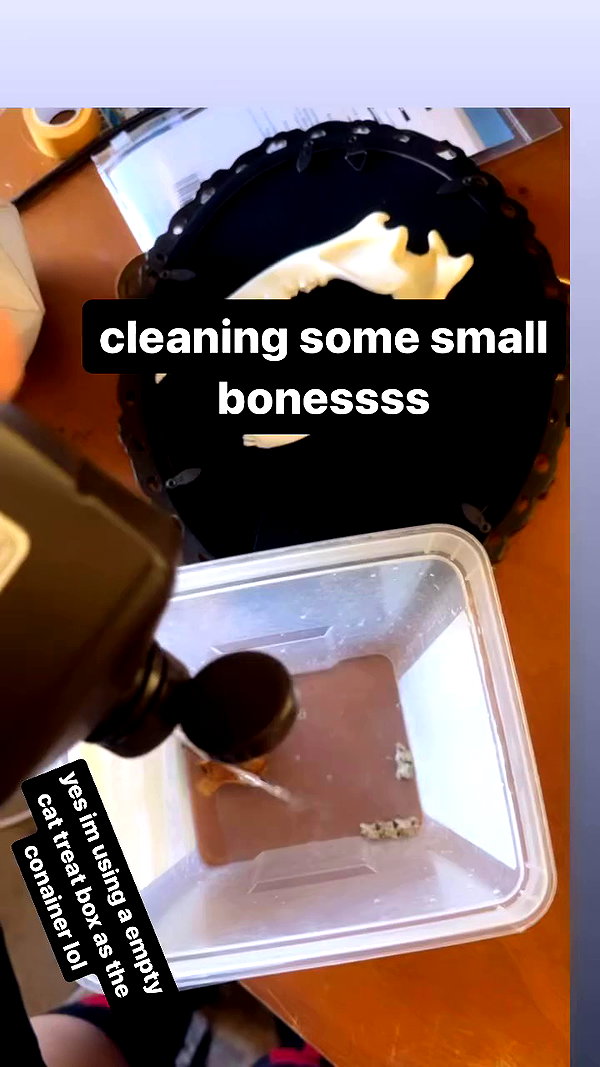 butter.on.a.poptart69 archive video preview
