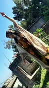 maycohen8 Altpins Profile Picture