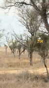ofri.elul Altpins Profile Picture