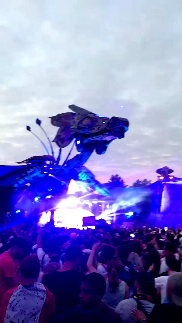 michal_cohen017 archive video preview