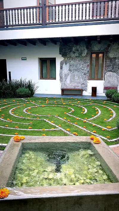 taylor.creeden taylor.creeden archive video