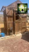 tirtza_cohen Altpins Profile Picture