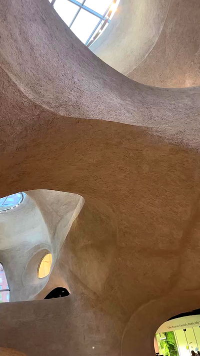 taylor.creeden taylor.creeden archive video