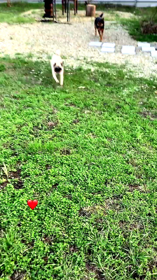 nyityam archive video preview