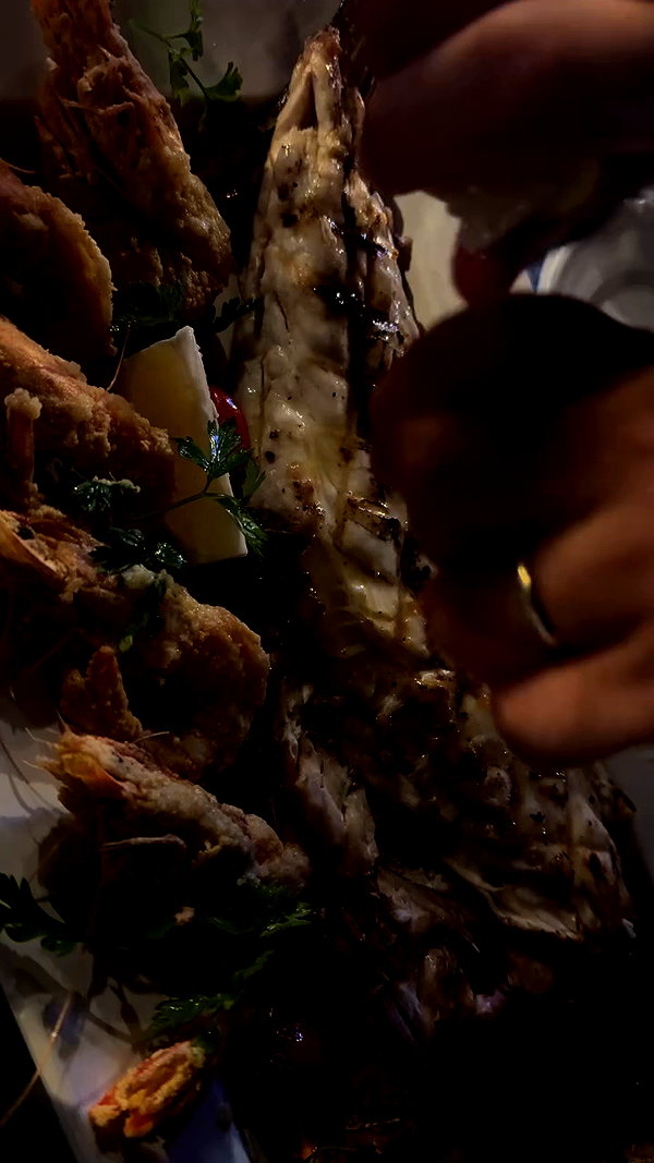 barzomer archive video preview