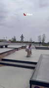 surfsterre Altpins Profile Picture