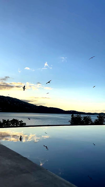 taylor.creeden taylor.creeden archive video