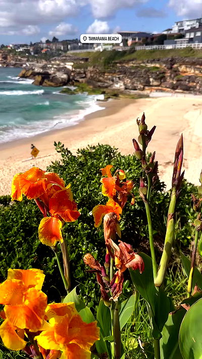 taylor.creeden taylor.creeden archive video